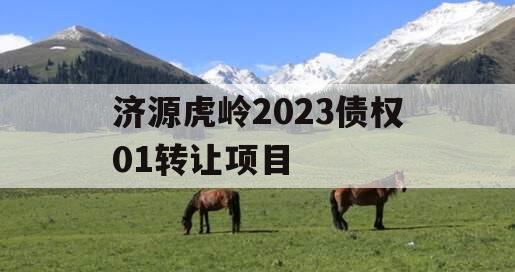 济源虎岭2023债权01转让项目