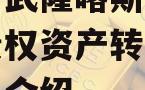 重庆市武隆喀斯特旅游产业债权资产转让项目的简单介绍