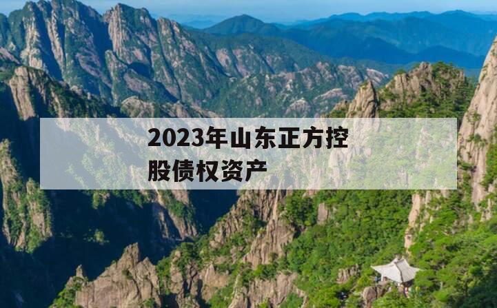 2023年山东正方控股债权资产
