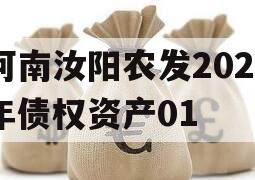 河南汝阳农发2023年债权资产01