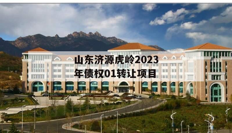 山东济源虎岭2023年债权01转让项目