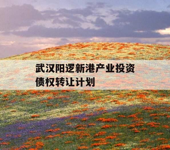 武汉阳逻新港产业投资债权转让计划