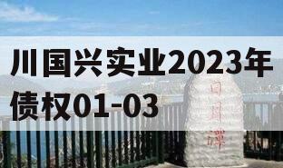 川国兴实业2023年债权01-03