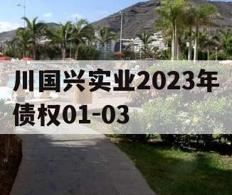 川国兴实业2023年债权01-03 川国兴实业2023年债权01-03
