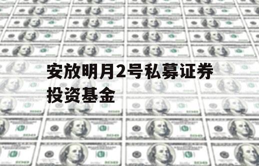 安放明月2号私募证券投资基金