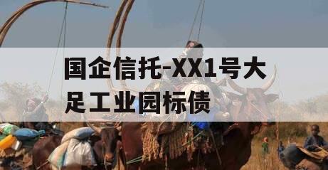 国企信托-XX1号大足工业园标债