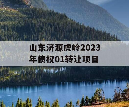 山东济源虎岭2023年债权01转让项目