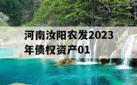河南汝阳农发2023年债权资产01