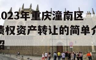 2023年重庆潼南区债权资产转让的简单介绍