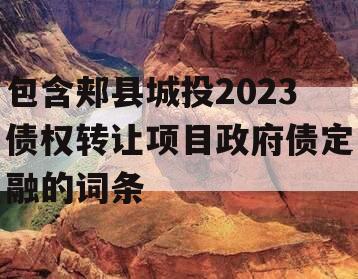 包含郏县城投2023债权转让项目政府债定融的词条
