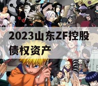 2023山东ZF控股债权资产
