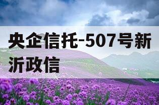 央企信托-507号新沂政信