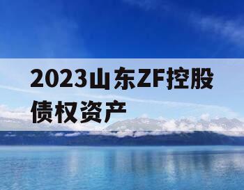 2023山东ZF控股债权资产