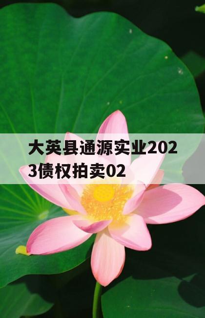 大英县通源实业2023债权拍卖02