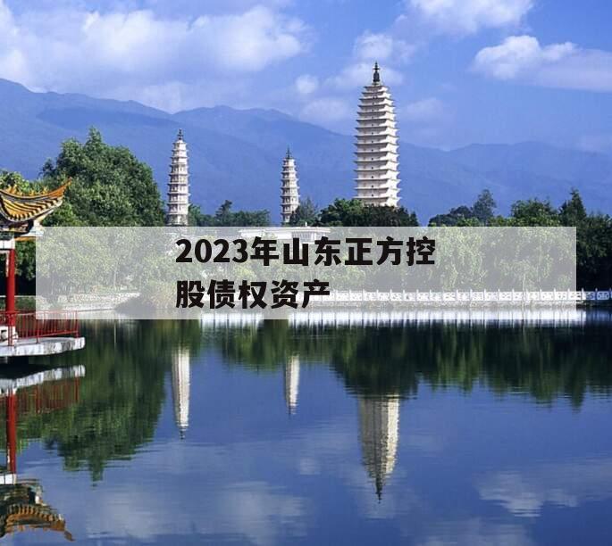 2023年山东正方控股债权资产