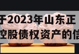 关于2023年山东正方控股债权资产的信息