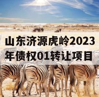 山东济源虎岭2023年债权01转让项目 山东济源虎岭2023年债权01转让项目