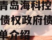 山东青岛海科控股2023年债权政府债定融的简单介绍
