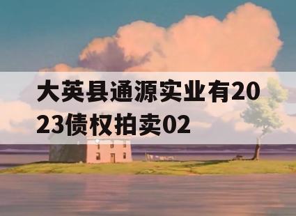 大英县通源实业有2023债权拍卖02