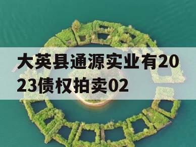大英县通源实业有2023债权拍卖02