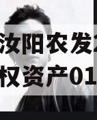 河南汝阳农发2023年债权资产01