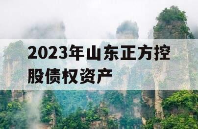 2023年山东正方控股债权资产