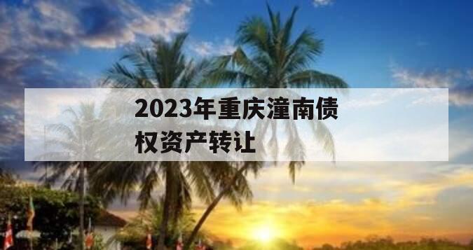 2023年重庆潼南债权资产转让