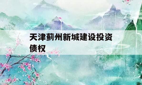 天津蓟州新城建设投资债权