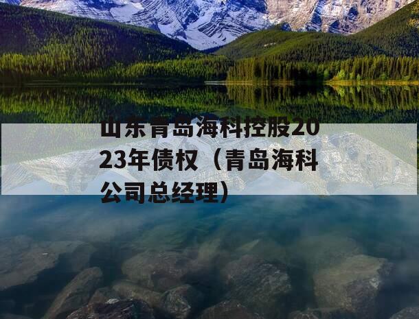 山东青岛海科控股2023年债权（青岛海科公司总经理）