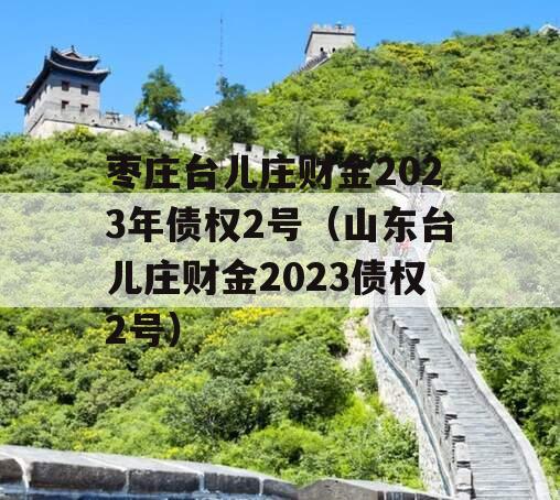 枣庄台儿庄财金2023年债权2号（山东台儿庄财金2023债权2号）