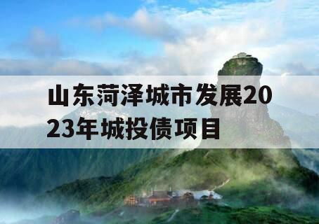 山东菏泽城市发展2023年城投债项目