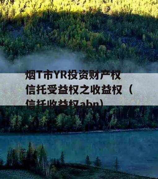 烟T市YR投资财产权信托受益权之收益权（信托收益权abn）