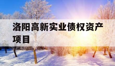 洛阳高新实业债权资产项目