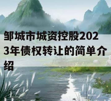 邹城市城资控股2023年债权转让的简单介绍