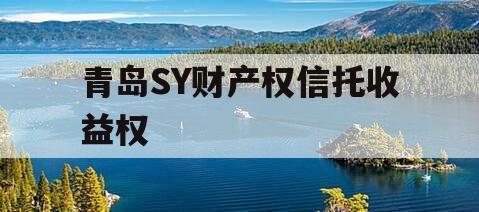 青岛SY财产权信托收益权