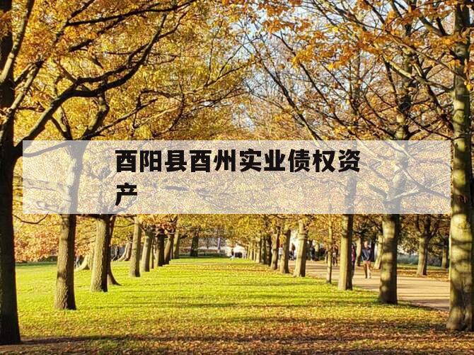 酉阳县酉州实业债权资产