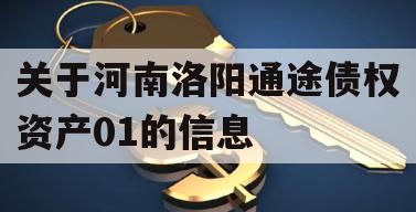 关于河南洛阳通途债权资产01的信息