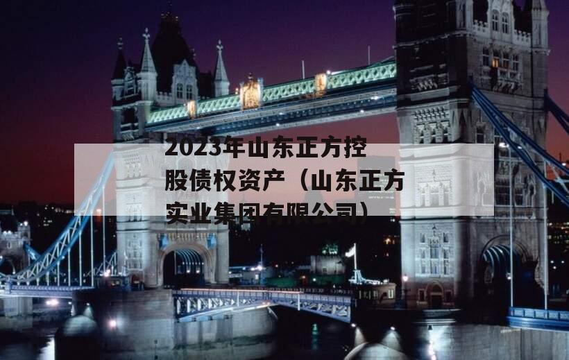 2023年山东正方控股债权资产（山东正方实业集团有限公司）