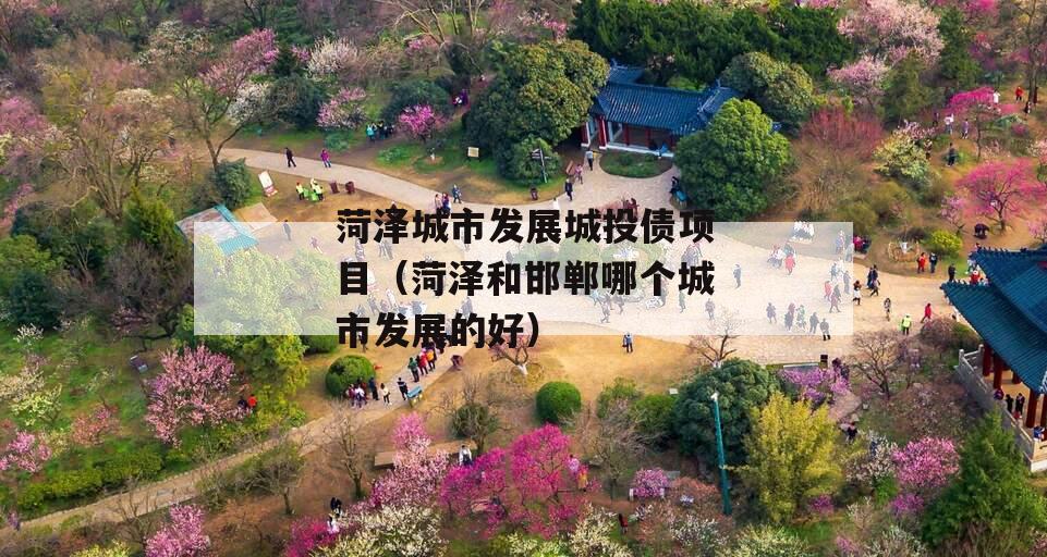菏泽城市发展城投债项目（菏泽和邯郸哪个城市发展的好）