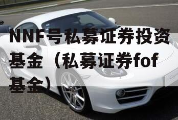 NNF号私募证券投资基金（私募证券fof基金）