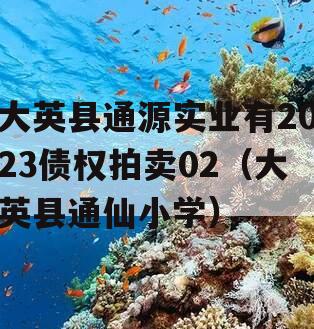 大英县通源实业有2023债权拍卖02（大英县通仙小学）