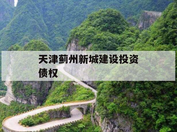 天津蓟州新城建设投资债权