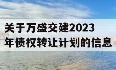 关于万盛交建2023年债权转让计划的信息