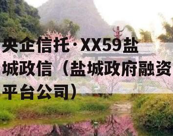 央企信托·XX59盐城政信（盐城政府融资平台公司）