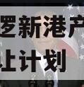 武汉阳逻新港产业投资债权转让计划