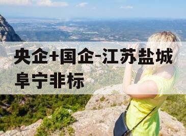 央企+国企-江苏盐城阜宁非标
