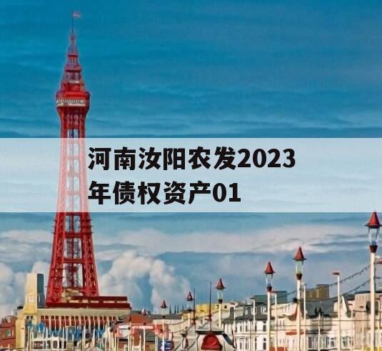 河南汝阳农发2023年债权资产01