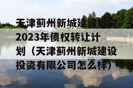 天津蓟州新城建设投资2023年债权转让计划（天津蓟州新城建设投资有限公司怎么样）