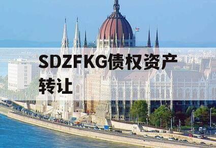 SDZFKG债权资产转让