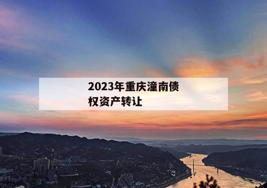 2023年重庆潼南债权资产转让
